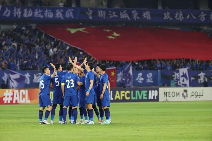 大象视频回家的领航