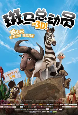 久久久久精品视频