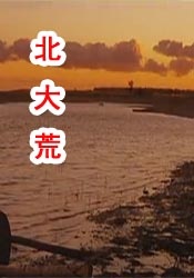 www.av中文字幕