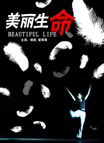 久久久久久97免费精品一级小说