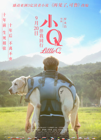 娱乐指南