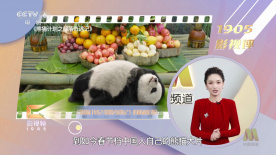室友俱乐部服务员和小姐